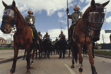 LÁMINA MACIZA DE POLICARBONATO